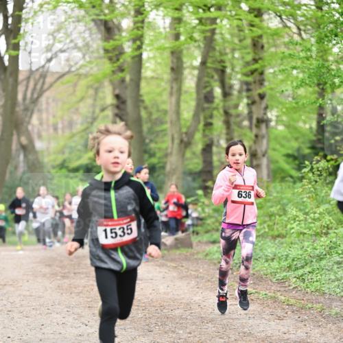 13.04.2025 - Hammer Lauf Dr. Thomas Lammeyer http://msf.ph/oto/7629765 13.04.2025 09:23:40 Laufen 1535, 15, 636 meine-sportfotos.de