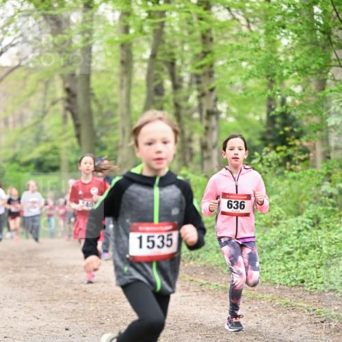 13.04.2025 - Hammer Lauf Dr. Thomas Lammeyer http://msf.ph/oto/7629777 13.04.2025 09:23:40 Laufen 407, 1535, 15, 636 meine-sportfotos.de