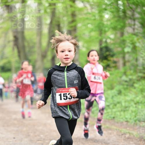 13.04.2025 - Hammer Lauf Dr. Thomas Lammeyer http://msf.ph/oto/7629782 13.04.2025 09:23:40 Laufen 15, 153, 636 meine-sportfotos.de