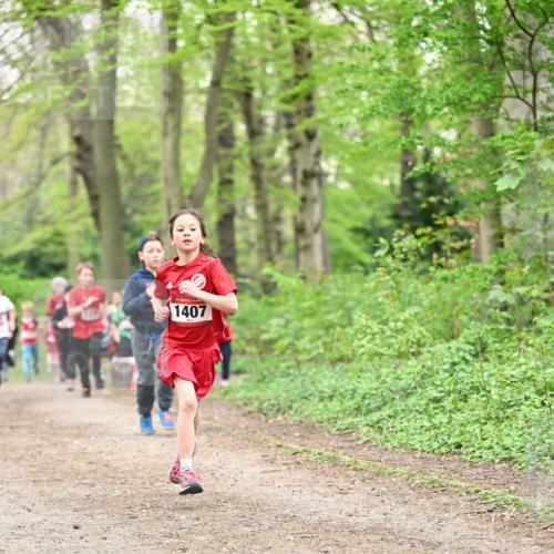 13.04.2025 - Hammer Lauf Dr. Thomas Lammeyer http://msf.ph/oto/7629799 13.04.2025 09:23:41 Laufen 1407 meine-sportfotos.de