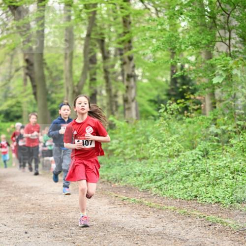 13.04.2025 - Hammer Lauf Dr. Thomas Lammeyer http://msf.ph/oto/7629803 13.04.2025 09:23:41 Laufen 107 meine-sportfotos.de