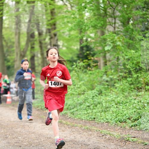 13.04.2025 - Hammer Lauf Dr. Thomas Lammeyer http://msf.ph/oto/7629823 13.04.2025 09:23:42 Laufen 16, 15, 1407 meine-sportfotos.de