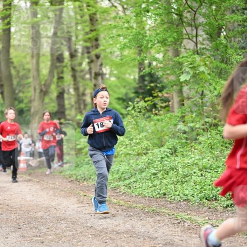 13.04.2025 - Hammer Lauf Dr. Thomas Lammeyer http://msf.ph/oto/7629839 13.04.2025 09:23:43 Laufen 18 meine-sportfotos.de