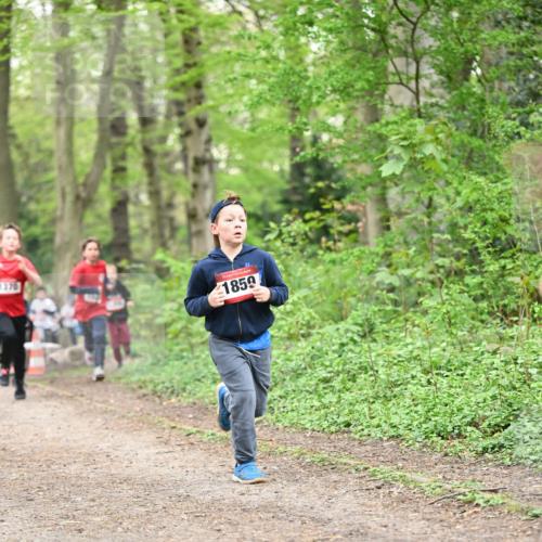 13.04.2025 - Hammer Lauf Dr. Thomas Lammeyer http://msf.ph/oto/7629842 13.04.2025 09:23:43 Laufen 1370, 1859 meine-sportfotos.de