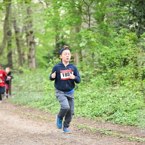 13.04.2025 - Hammer Lauf Dr. Thomas Lammeyer http://msf.ph/oto/7629852 13.04.2025 09:23:43 Laufen 185 meine-sportfotos.de