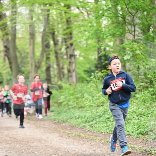 13.04.2025 - Hammer Lauf Dr. Thomas Lammeyer http://msf.ph/oto/7629856 13.04.2025 09:23:43 Laufen 18 meine-sportfotos.de