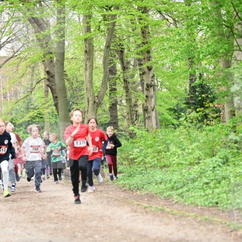 13.04.2025 - Hammer Lauf Dr. Thomas Lammeyer http://msf.ph/oto/7629861 13.04.2025 09:23:44 Laufen 512, 786, 1722, 1370, 23, 35 meine-sportfotos.de