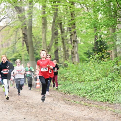 13.04.2025 - Hammer Lauf Dr. Thomas Lammeyer http://msf.ph/oto/7629867 13.04.2025 09:23:44 Laufen 1512, 786, 1722, 1370, 23 meine-sportfotos.de