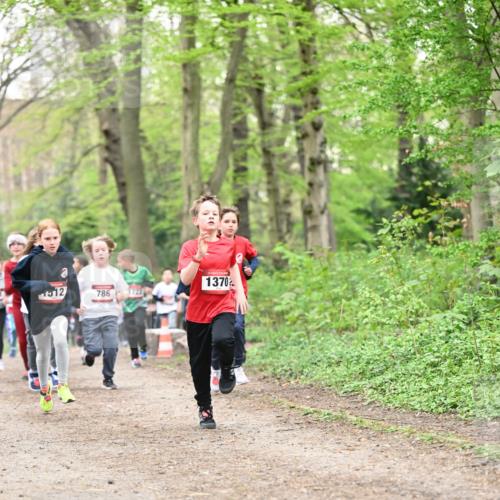 13.04.2025 - Hammer Lauf Dr. Thomas Lammeyer http://msf.ph/oto/7629875 13.04.2025 09:23:45 Laufen 1370, 1512, 786, 1722 meine-sportfotos.de