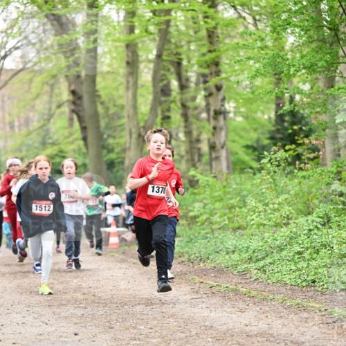 13.04.2025 - Hammer Lauf Dr. Thomas Lammeyer http://msf.ph/oto/7629880 13.04.2025 09:23:45 Laufen 1512, 786, 55723, 1370 meine-sportfotos.de