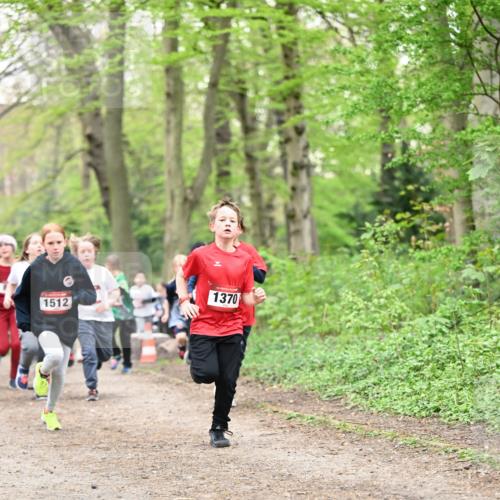 13.04.2025 - Hammer Lauf Dr. Thomas Lammeyer http://msf.ph/oto/7629884 13.04.2025 09:23:45 Laufen 1370, 1512 meine-sportfotos.de