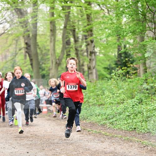 13.04.2025 - Hammer Lauf Dr. Thomas Lammeyer http://msf.ph/oto/7629889 13.04.2025 09:23:45 Laufen 1370, 1512 meine-sportfotos.de
