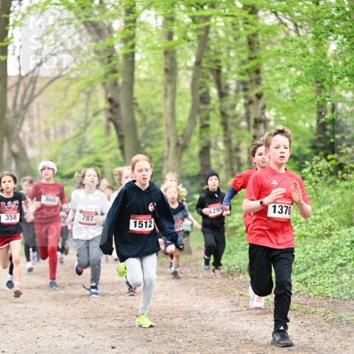 13.04.2025 - Hammer Lauf Dr. Thomas Lammeyer http://msf.ph/oto/7629897 13.04.2025 09:23:45 Laufen 358, 869, 787, 15, 1512, 037, 1295, 1370 meine-sportfotos.de