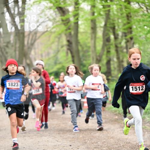 13.04.2025 - Hammer Lauf Dr. Thomas Lammeyer http://msf.ph/oto/7629921 13.04.2025 09:23:46 Laufen 1823, 358, 15, 1512 meine-sportfotos.de