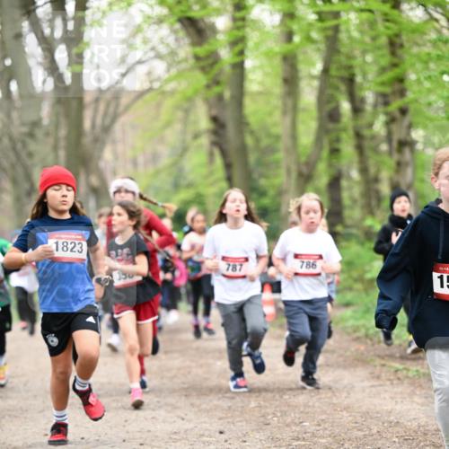 13.04.2025 - Hammer Lauf Dr. Thomas Lammeyer http://msf.ph/oto/7629925 13.04.2025 09:23:46 Laufen 1823, 787, 786, 15, 15 meine-sportfotos.de