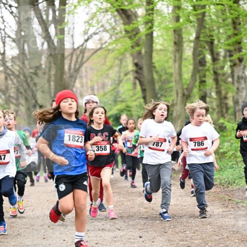 13.04.2025 - Hammer Lauf Dr. Thomas Lammeyer http://msf.ph/oto/7629929 13.04.2025 09:23:47 Laufen 47, 1823, 358, 787, 786 meine-sportfotos.de