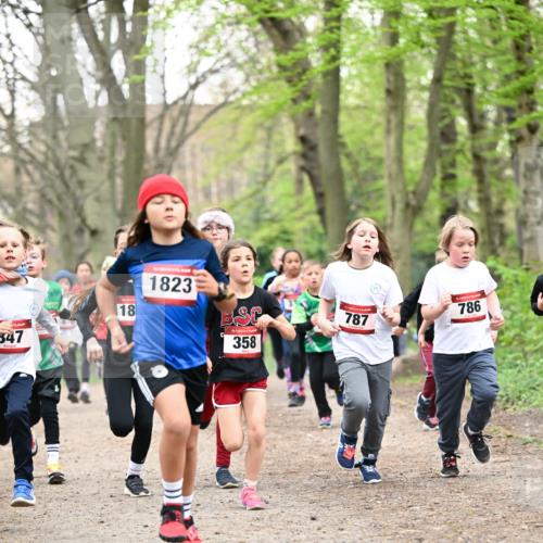 13.04.2025 - Hammer Lauf Dr. Thomas Lammeyer http://msf.ph/oto/7629934 13.04.2025 09:23:47 Laufen 847, 18, 1823, 15, 358, 787, 786 meine-sportfotos.de