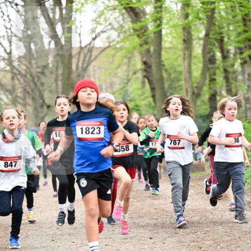 13.04.2025 - Hammer Lauf Dr. Thomas Lammeyer http://msf.ph/oto/7629940 13.04.2025 09:23:47 Laufen 15, 847, 18, 1823, 358, 17, 787, 36 meine-sportfotos.de