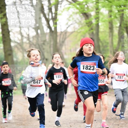 13.04.2025 - Hammer Lauf Dr. Thomas Lammeyer http://msf.ph/oto/7629945 13.04.2025 09:23:48 Laufen 847, 1851, 15, 1823, 358, 787 meine-sportfotos.de