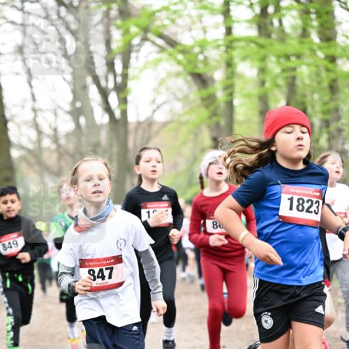 13.04.2025 - Hammer Lauf Dr. Thomas Lammeyer http://msf.ph/oto/7629962 13.04.2025 09:23:48 Laufen 849, 15, 847, 1, 8, 15, 1823 meine-sportfotos.de