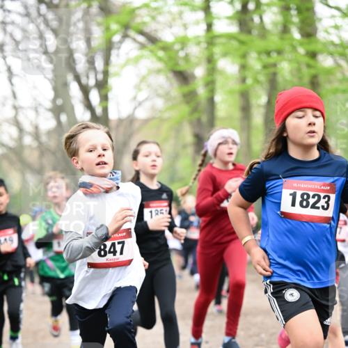 13.04.2025 - Hammer Lauf Dr. Thomas Lammeyer http://msf.ph/oto/7629967 13.04.2025 09:23:48 Laufen 49, 847, 1, 15, 1823 meine-sportfotos.de