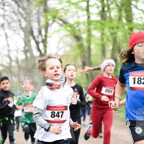 13.04.2025 - Hammer Lauf Dr. Thomas Lammeyer http://msf.ph/oto/7629972 13.04.2025 09:23:48 Laufen 15, 847, 86, 15, 182 meine-sportfotos.de
