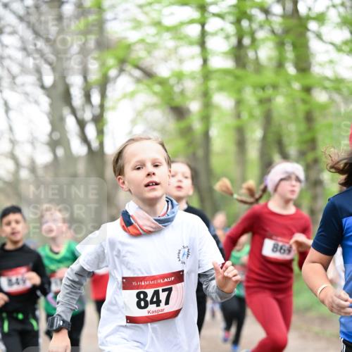 13.04.2025 - Hammer Lauf Dr. Thomas Lammeyer http://msf.ph/oto/7629978 13.04.2025 09:23:48 Laufen 15, 847, 869 meine-sportfotos.de