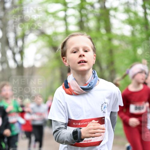 13.04.2025 - Hammer Lauf Dr. Thomas Lammeyer http://msf.ph/oto/7629983 13.04.2025 09:23:49 Laufen 15 meine-sportfotos.de