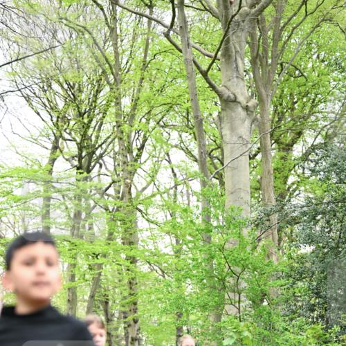 13.04.2025 - Hammer Lauf Dr. Thomas Lammeyer http://msf.ph/oto/7630006 13.04.2025 09:23:50 Laufen 84, 70, 1856, 72 meine-sportfotos.de