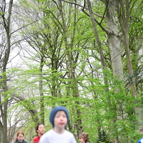 13.04.2025 - Hammer Lauf Dr. Thomas Lammeyer http://msf.ph/oto/7630035 13.04.2025 09:23:51 Laufen 1486, 1507, 870, 1209 meine-sportfotos.de