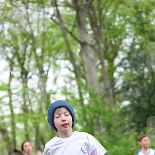 13.04.2025 - Hammer Lauf Dr. Thomas Lammeyer http://msf.ph/oto/7630044 13.04.2025 09:23:52 Laufen 15, 870 meine-sportfotos.de