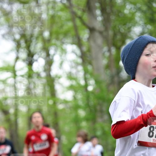 13.04.2025 - Hammer Lauf Dr. Thomas Lammeyer http://msf.ph/oto/7630053 13.04.2025 09:23:52 Laufen 81 meine-sportfotos.de