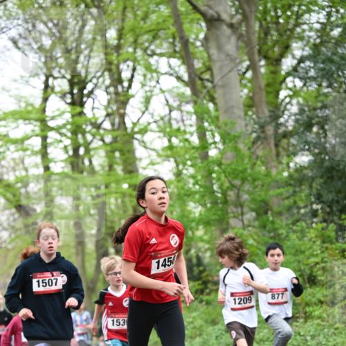 13.04.2025 - Hammer Lauf Dr. Thomas Lammeyer http://msf.ph/oto/7630060 13.04.2025 09:23:52 Laufen 1507, 153, 15, 1450, 1209, 877 meine-sportfotos.de