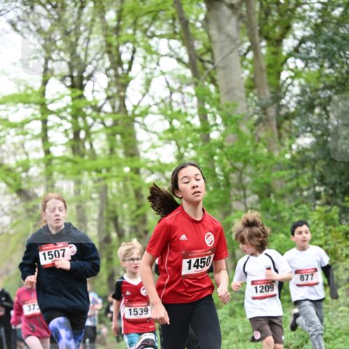 13.04.2025 - Hammer Lauf Dr. Thomas Lammeyer http://msf.ph/oto/7630065 13.04.2025 09:23:52 Laufen 1507, 373, 1539, 15, 1450, 1209, 877 meine-sportfotos.de