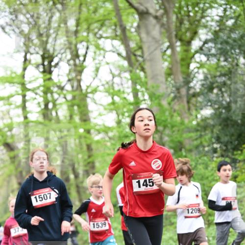 13.04.2025 - Hammer Lauf Dr. Thomas Lammeyer http://msf.ph/oto/7630071 13.04.2025 09:23:53 Laufen 373, 1507, 1539, 15, 145, 16, 1209 meine-sportfotos.de