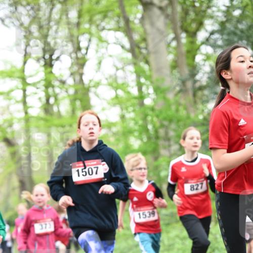 13.04.2025 - Hammer Lauf Dr. Thomas Lammeyer http://msf.ph/oto/7630089 13.04.2025 09:23:53 Laufen 373, 1507, 1539, 827, 15, 1 meine-sportfotos.de