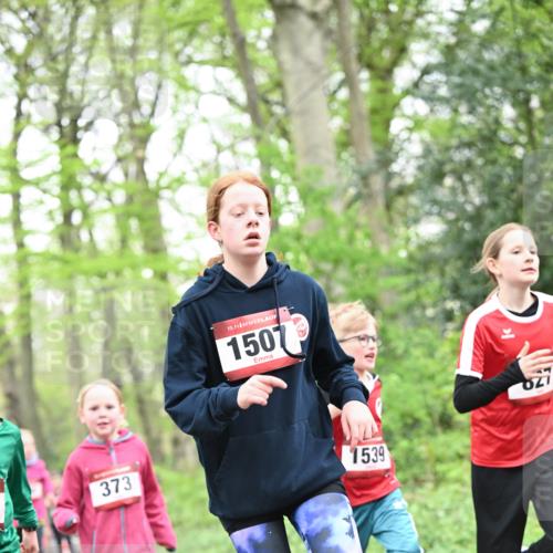 13.04.2025 - Hammer Lauf Dr. Thomas Lammeyer http://msf.ph/oto/7630095 13.04.2025 09:23:53 Laufen 373, 15, 1507, 1539, 027 meine-sportfotos.de