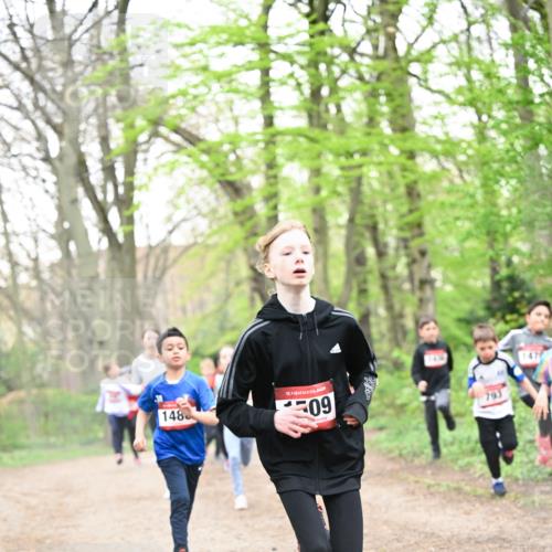 13.04.2025 - Hammer Lauf Dr. Thomas Lammeyer http://msf.ph/oto/7630126 13.04.2025 09:23:55 Laufen 148, 15, 09, 793, 147 meine-sportfotos.de