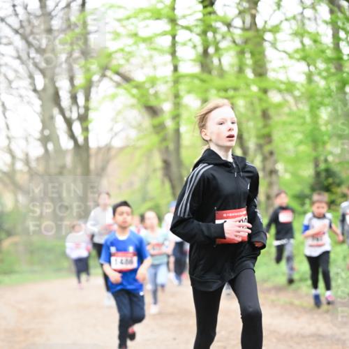 13.04.2025 - Hammer Lauf Dr. Thomas Lammeyer http://msf.ph/oto/7630132 13.04.2025 09:23:55 Laufen 14, 06, 15 meine-sportfotos.de