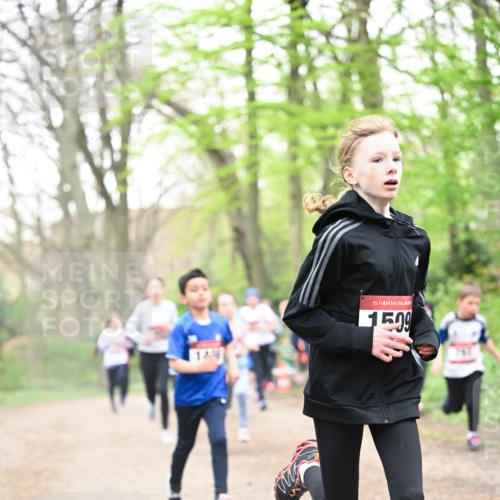 13.04.2025 - Hammer Lauf Dr. Thomas Lammeyer http://msf.ph/oto/7630134 13.04.2025 09:23:56 Laufen 146, 15, 1509, 763 meine-sportfotos.de