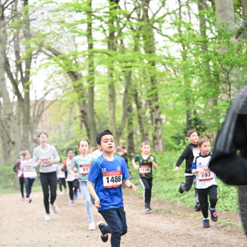 13.04.2025 - Hammer Lauf Dr. Thomas Lammeyer http://msf.ph/oto/7630139 13.04.2025 09:23:56 Laufen 913, 10, 15, 1486, 1116, 793 meine-sportfotos.de