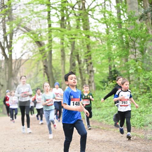 13.04.2025 - Hammer Lauf Dr. Thomas Lammeyer http://msf.ph/oto/7630145 13.04.2025 09:23:56 Laufen 013, 10, 15, 1486, 1116, 793 meine-sportfotos.de
