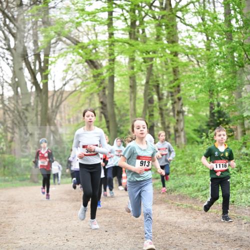 13.04.2025 - Hammer Lauf Dr. Thomas Lammeyer http://msf.ph/oto/7630169 13.04.2025 09:23:57 Laufen 2, 383, 913, 170, 1116 meine-sportfotos.de