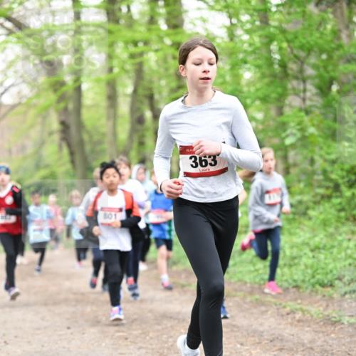 13.04.2025 - Hammer Lauf Dr. Thomas Lammeyer http://msf.ph/oto/7630209 13.04.2025 09:23:58 Laufen 801, 15, 363 meine-sportfotos.de