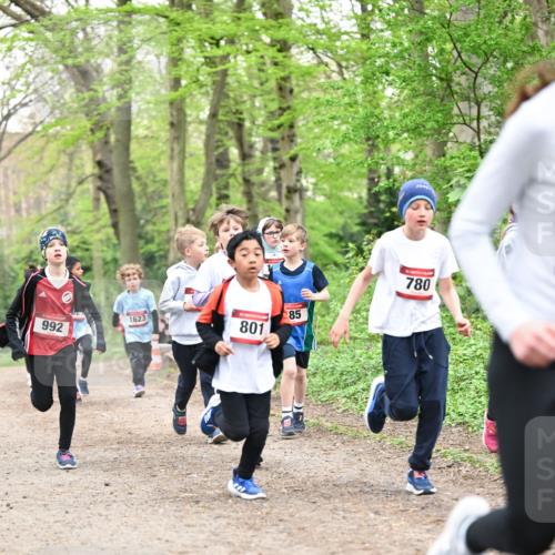 13.04.2025 - Hammer Lauf Dr. Thomas Lammeyer http://msf.ph/oto/7630217 13.04.2025 09:23:59 Laufen 992, 1623, 801, 85, 780 meine-sportfotos.de