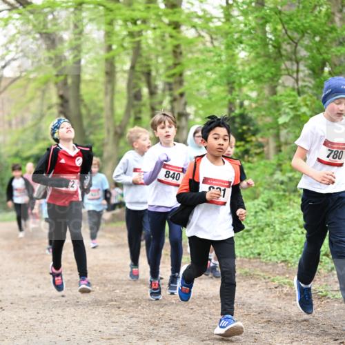 13.04.2025 - Hammer Lauf Dr. Thomas Lammeyer http://msf.ph/oto/7630235 13.04.2025 09:23:59 Laufen 840, 15, 31, 15, 780, 24 meine-sportfotos.de
