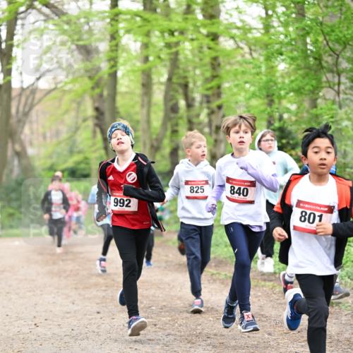 13.04.2025 - Hammer Lauf Dr. Thomas Lammeyer http://msf.ph/oto/7630244 13.04.2025 09:24:00 Laufen 992, 825, 840, 801 meine-sportfotos.de