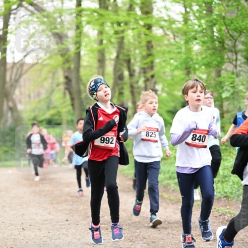 13.04.2025 - Hammer Lauf Dr. Thomas Lammeyer http://msf.ph/oto/7630253 13.04.2025 09:24:00 Laufen 992, 825, 840 meine-sportfotos.de