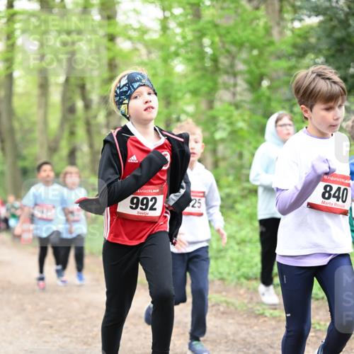 13.04.2025 - Hammer Lauf Dr. Thomas Lammeyer http://msf.ph/oto/7630274 13.04.2025 09:24:01 Laufen 992, 25, 15, 840 meine-sportfotos.de