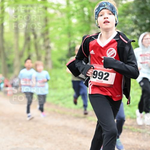 13.04.2025 - Hammer Lauf Dr. Thomas Lammeyer http://msf.ph/oto/7630287 13.04.2025 09:24:01 Laufen 5, 992, 16 meine-sportfotos.de